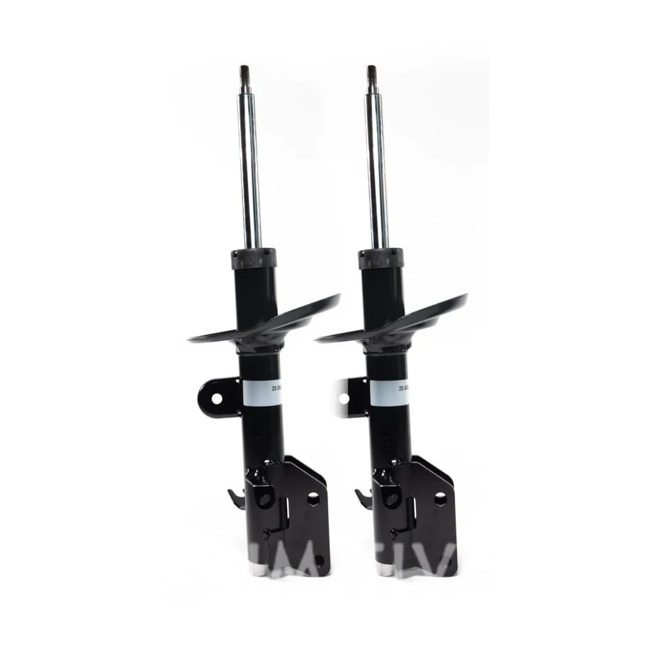 Front Only - BILSTEIN B4 Struts 15-19 OB