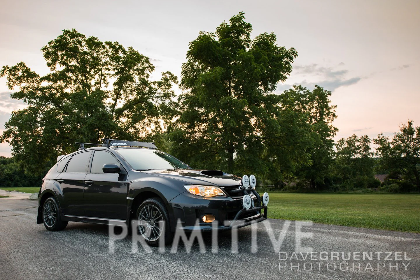 King Lift Springs 08-16 Imp, 08+ WRX (Rear Only) - Image 3